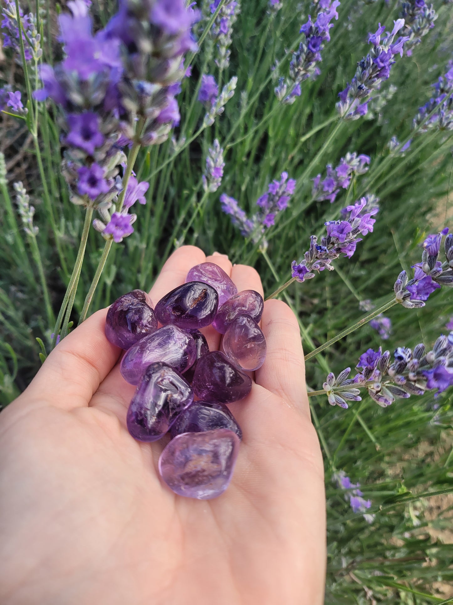 Cantos Rodados Amatista