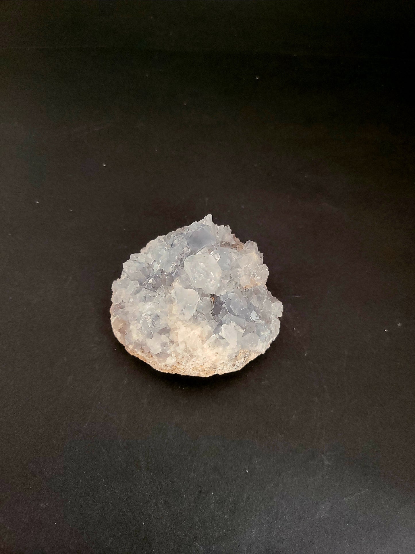 Drusas Celestina