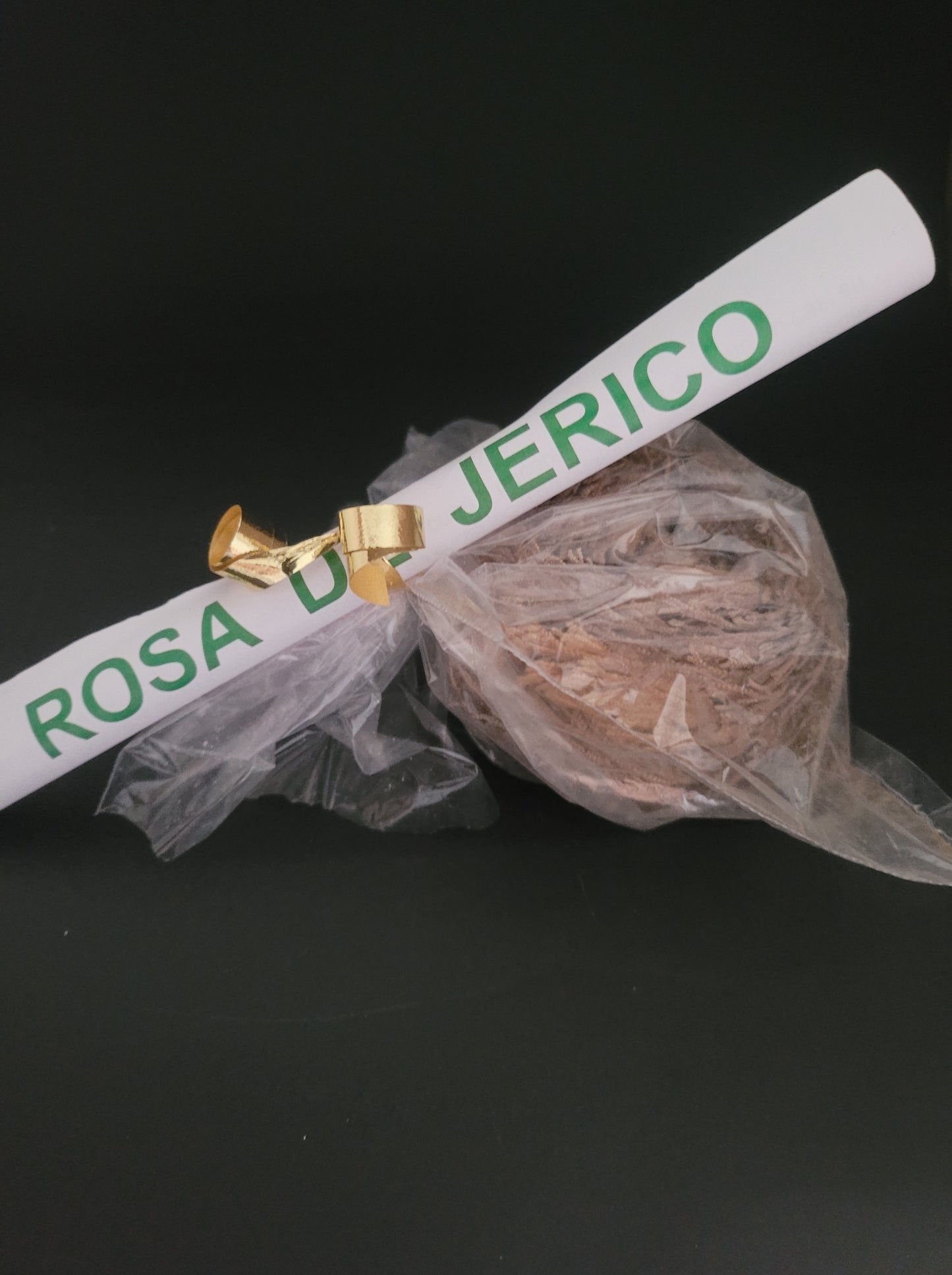  ROSA DE JERICÓ